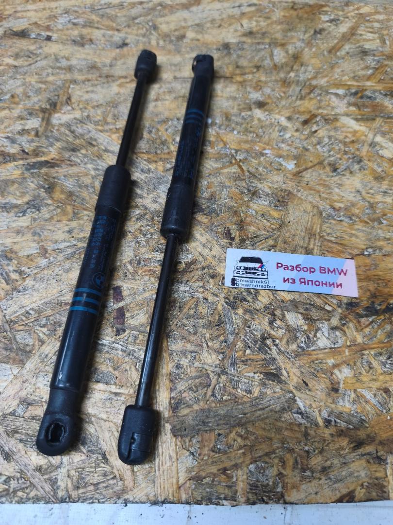 амортизатор капота BMW 5 серия F07/F10/F11 F11 2011, 3.0 л., N52 B30 AF, бензин, АКПП, белый, универсал, задний привод, правый руль, 51237309119, 7309119 - фото №1