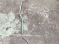 трубка кондиционера BMW 3 серия E46 [рестайлинг] E46 2005, 3.0 л., M54 B30 (306S3), бензин, АКПП, серебристый, кабриолет, задний привод, правый руль, 64536908908 - фото №4