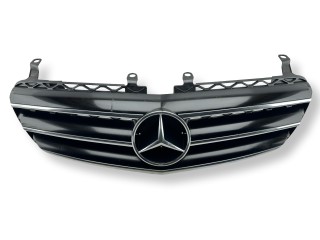 решетка радиатора Mercedes-Benz R-Класс W251 [рестайлинг] 2009, 3.0 л., CDi, OM 642.950, дизель, АКПП, iridiumsilber, универсал, полный привод, правый руль, A2518800483, A2518880423, A2518880223