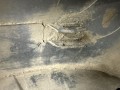 накладка колесной арки Daihatsu Terios 2 поколение J200 2008, 1.5 л., i, 3SZ-VE, бензин, 5МКПП, black, внедорожник 5 дв., полный привод, правый руль, 75605-B4020 - фото №4