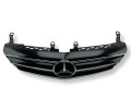 решетка радиатора Mercedes-Benz R-Класс W251 [рестайлинг] 2009, 3.0 л., CDi, OM 642.950, дизель, АКПП, iridiumsilber, универсал, полный привод, правый руль, A2518800483, A2518880423, A2518880223 - фото №6