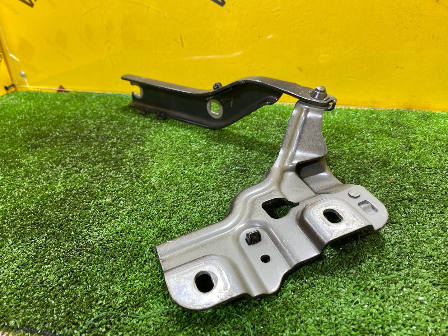 петля капота левая Audi Q3 F3 2023, 2.0 л., бензин, 83A823301 - фото №5