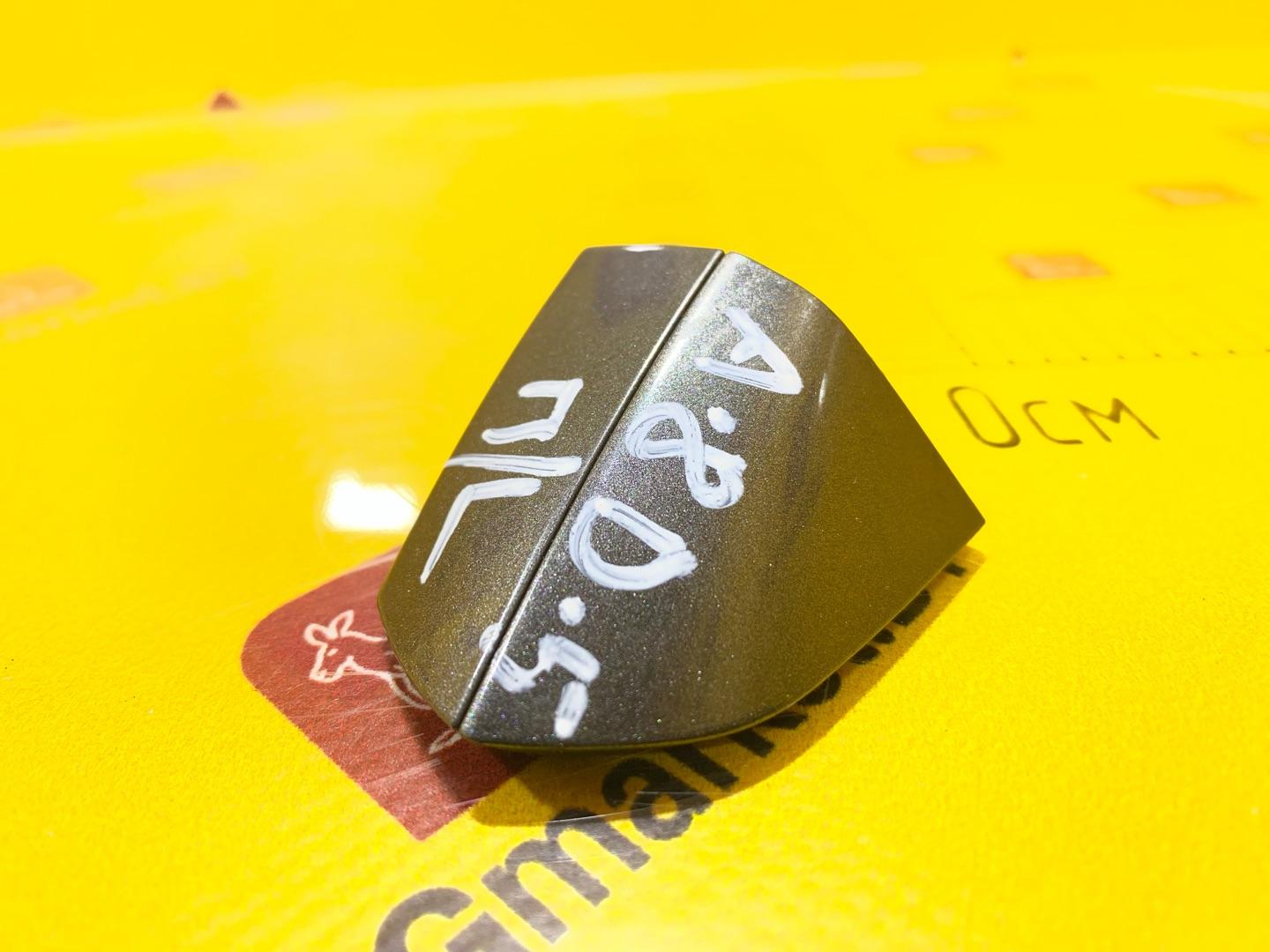 колпачок (заглушка) ручки двери Audi A8 D5 2019, 3.0 л., дизель, 4N1837879A, 4N1837875