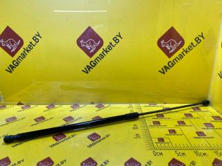 амортизатор капота Audi Q3 F3 (2018 - 2026), 83A823359B