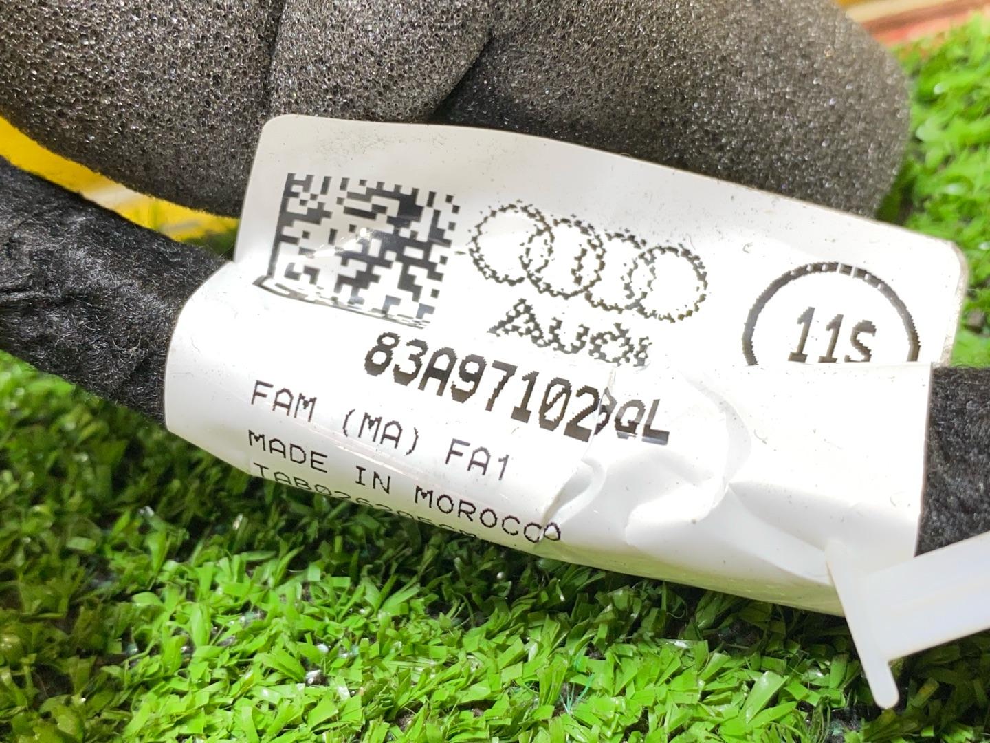 дверная проводка Audi Q3 F3 2023, 2.0 л., бензин, 83A971029QL - фото №7