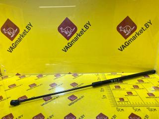 амортизатор капота Volkswagen Tiguan 2 поколение [рестайлинг] 2021, 2.0 л., бензин, 5NA823359A