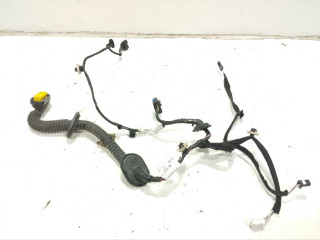 дверная проводка Renault Megane 4 поколение [рестайлинг] (2020 - 2026), 1.5 л., дизель, хетчбэк 5 дв., 241263818R