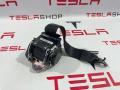 ремень безопасности Tesla Model 3 1 поколение 2019, 1081281-01-E - фото №2