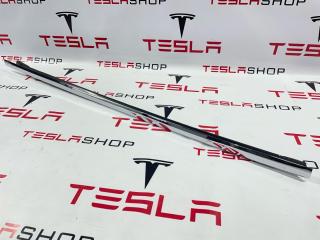 молдинг двери задней левой Tesla Model X 1 поколение 2019, 1032175-00-C, 1032167-88-D