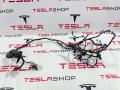 Электропроводка двери Tesla Model 3 1 поколение 2019, 1067963-00-E - фото №4