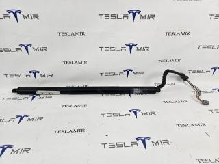 амортизатор крышки багажника (3-5 двери) Tesla Model S 1 поколение [2-й рестайлинг] 2022, 1648016-00