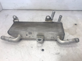 радиатор масляный Ford Bronco Sport 1 поколение 2021, 1.5 л., бензин, АКПП, серебряный, внедорожник 5 дв., полный подключаемый привод