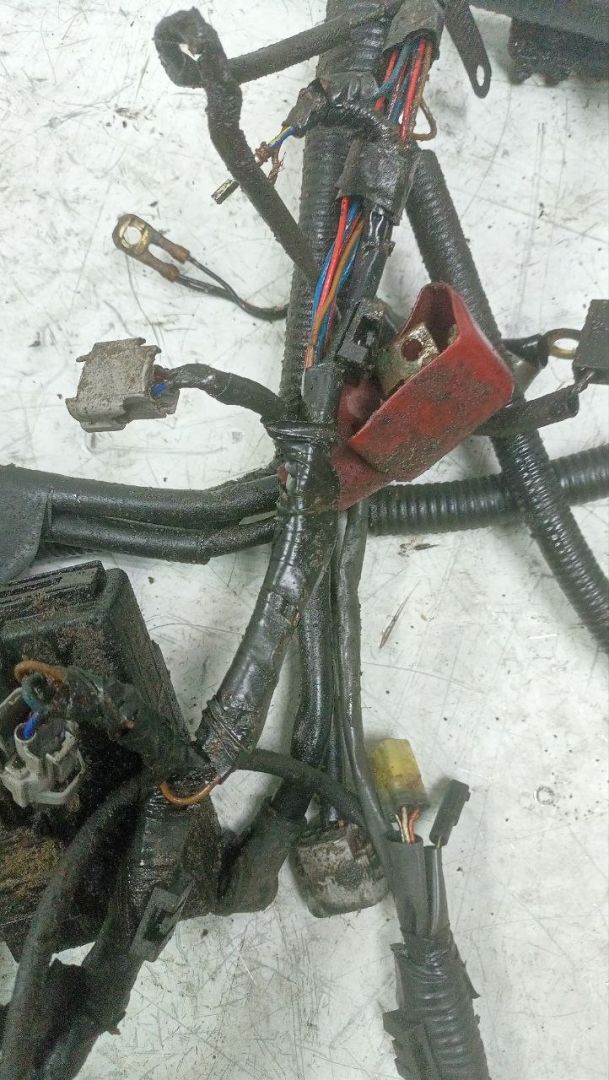 проводка на генератор Suzuki Baleno 1 поколение (1995 - 2002), 1.6 л., бензин, МКПП - фото №1