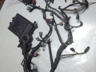 проводка двигателя Nissan Almera N16 2000, 1.8 л., бензин, МКПП