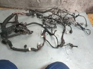 проводка двигателя Nissan Teana J32 (2008 - 2014), 2.5 л., бензин, АКПП, седан