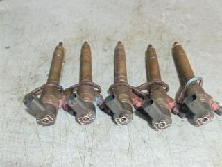 форсунка Volvo XC90 1 поколение [рестайлинг] (2006 - 2014), 2.4 л., дизель, 30750283, 4455110251