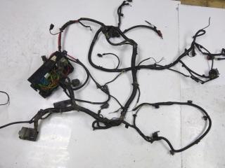 проводка двигателя Ford Focus 1 поколение (1998 - 2001), 1.6 л., бензин, АКПП, 98AG14A067CD