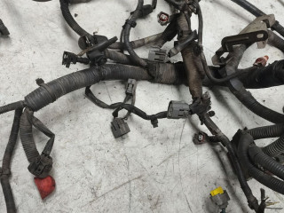 проводка двигателя Nissan Qashqai 1 поколение [рестайлинг] 2010, 2.0 л., бензин, МКПП