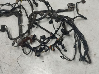 проводка двигателя Nissan Teana J32 (2008 - 2014), 2.5 л., бензин, АКПП, седан