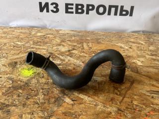 патрубок радиатора Ford Focus 2 поколение [рестайлинг] CB4 2010, 1.6 л., i, SHDA, бензин, АКПП, panther black (metallic), универсал, передний привод, правый руль, 3M5H8286