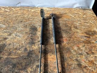 амортизатор крышки багажника (3-5 двери) Ford Focus 3 поколение CB4 2013, 1.6 л., PNDA, бензин, 5МКПП, хетчбэк 5 дв., BM51-A406A10-AE