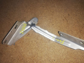 петля капота левая Ford Focus 1 поколение [рестайлинг] DAW 2002, XS4116801AF