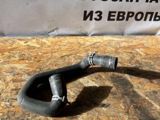 патрубок радиатора Ford Focus 2 поколение [рестайлинг] CB4 2009, 1.8 л., i, QQDB, бензин, МКПП, moondust silver (metallic), хетчбэк 5 дв., передний привод, правый руль, 3M5H8286