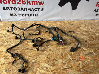 проводка двигателя Ford Focus 2 поколение [рестайлинг] CB4 2010, 2.0 л., i, AODE, бензин, 5МКПП, mi4	sea grey (metallic), хетчбэк 5 дв., передний привод, правый руль, 3M5T-12A690-RAF