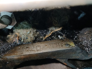 двигатель Volkswagen Jetta 5 поколение 2006, 1.9 л., дизель, BKC