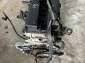 двигатель Ford Focus 2 поколение [рестайлинг] CB4 2009, 1.6 л., i, SHDA, бензин, МКПП, хетчбэк 5 дв. - фото №3