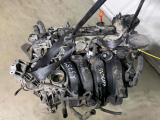 двигатель Volkswagen Golf 4 поколение 2006, 1.4 л., BLN, бензин, МКПП, передний привод, BLN, 03C100091CX, FXQ, 0AF300040BX