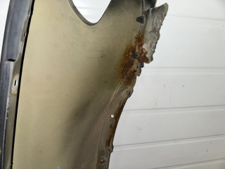 крыло переднее левое BMW X5 E53 [рестайлинг] 2005, 3.0 л., АКПП, полный привод, 41357121007