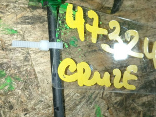 датчик температуры Chevrolet Cruze 1 поколение J300 2011, 1.8 л., бензин, 13263325