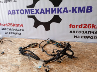 проводка двигателя Ford Focus 3 поколение CB8 2012, 1.6 л., i-VTEC, PNDA, бензин, 5МКПП, white, хетчбэк 5 дв., передний привод, правый руль