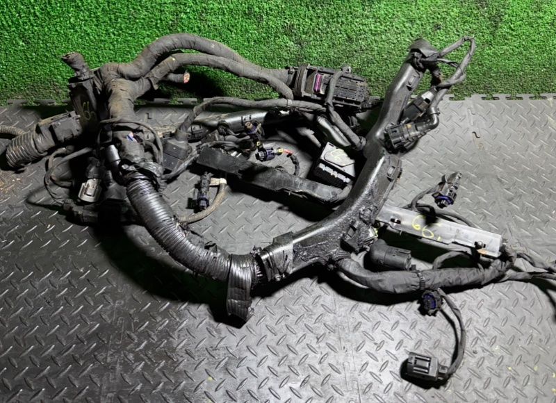 проводка двигателя Hyundai Santa Fe 2 поколение (CM) 2008, 2.2 л. - фото №1