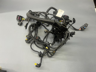 проводка двигателя Mini Cooper S 3 поколение [2-й рестайлинг] F56 2023, 2.0 л., бензин, робот, зеленый, хетчбэк 3 дв., 12518742678, 8742678, 12518678955, 8678955