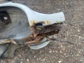 часть кузова (вырезанный элемент) Chevrolet Lacetti 1 поколение J200 (2004 - 2013), 1.6 л., F16D3, бензин, МКПП, седан - фото №5