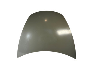 капот Tesla Model 3 1 поколение (2017 - 2025), 1081390-E0-C