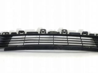 заглушка (решетка) в бампер Tesla Model Y 1 поколение (2020 - 2025), 1077925-00-A