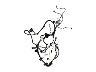 дверная проводка Tesla Model S 1 поколение [рестайлинг] 2018, 2004419-00-B