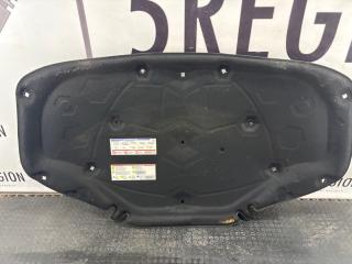 шумоизоляция капота Alfa Romeo Giulia 2 поколение 952 2018, 2.0 л., бензин, АКПП, vesuvio gray metallic, седан, полный привод, 50552275