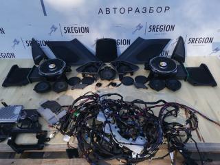 комплект акустики BMW X3 G01 2020, 2.0 л., B47 D20 B, дизель, АКПП, a90, внедорожник 5 дв., полный привод, правый руль, 65125A207E7, 65125A2D558