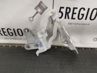 петля капота левая Alfa Romeo Stelvio 1 поколение 949 2019, 2.2 л., дизель, АКПП, внедорожник 5 дв., полный привод, правый руль