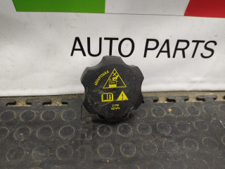 пробка расширительного бачка Alfa Romeo Stelvio 1 поколение [рестайлинг] 949 2021, 2.0 л., бензин, АКПП, vesuvio gray metallic, внедорожник 5 дв., полный привод, правый руль, 68249136AA