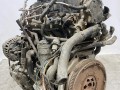 двигатель Volkswagen Passat B6 2009, 1.9 л., дизель, BLS - фото №3