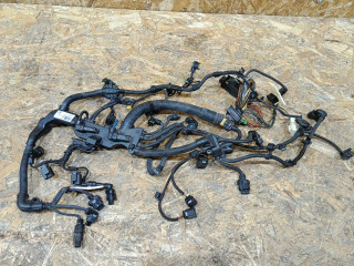 проводка двигателя BMW 3 серия F30/F31 [рестайлинг] F31 2016, 2.0 л., дизель, АКПП, белый, универсал, задний привод, 8516259, 12518516259, 12518595284, 8595284