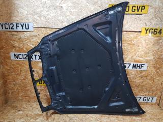 шумоизоляция капота BMW X6 E71/E72 2008, 3.0 л., дизель, АКПП, внедорожник 5 дв., полный привод, правый руль, 51487158420, 7158420