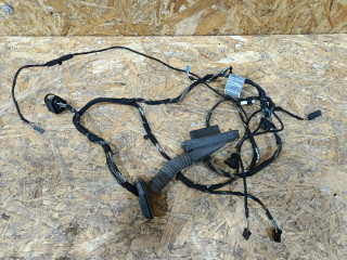 дверная проводка BMW X5 E70 2008, 3.0 л., дизель, АКПП, внедорожник 5 дв., полный привод, правый руль, 9242074, 61129242074, 61129242076, 9242076, 61129239540, 9239540, 61129229850, 9229850