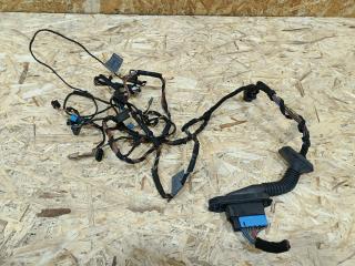 дверная проводка BMW X6 E71/E72 2008, 3.0 л., дизель, АКПП, внедорожник 5 дв., полный привод, правый руль, 9116974