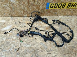 проводка двигателя BMW X5 E70 [рестайлинг] E70 2010, 4.0 л., дизель, АКПП, синий, внедорожник 5 дв., полный привод, правый руль, 851187803, 8511878, 12518511878, 7808328, 7380515